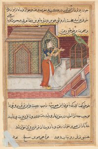 Page from Tales of a Parrot Tuti-nama: Forty-ninth Night: The Parrot Addresses Khujasta