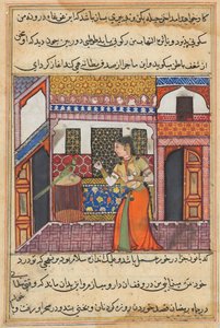 Page from Tales of a Parrot Tuti-nama: Forty-third Night: The Parrot Addresses Khujasta