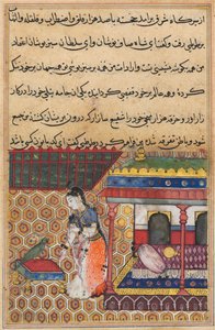 Page from Tales of a Parrot Tuti-nama: Thirty-Eight Night: The Parrot Addresses Khujasta by Unbekannt