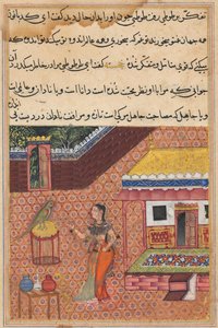 Page from Tales of a Parrot Tuti-nama: Thirty-fourth night: The parrot addresses Khujasta