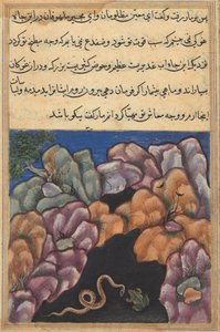 Page from Tales of a Parrot (Tuti-nama): Twenty-sixth Night: The Snake Enters..., c. 1560 by Unbekannt