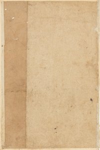 Page from Tales of a Parrot (Tuti-nama)