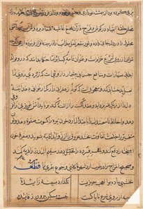 Page from Tales of a Parrot Tuti-nama: text page by Unbekannt