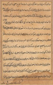 Page from Tales of a Parrot Tuti-nama: text page by Unbekannt