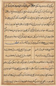 Page from Tales of a Parrot Tuti-nama: text page, c. 1560 by Unbekannt
