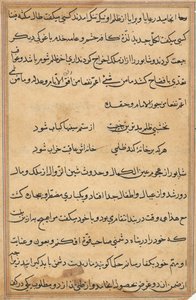 Page from Tales of a Parrot Tuti-nama: text page by Unbekannt