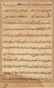 Page from Tales of a Parrot Tuti-nama: Text Page by Unbekannt
