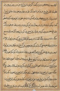 Page from Tales of a Parrot Tuti-nama: text page, c. 1560 by Unbekannt