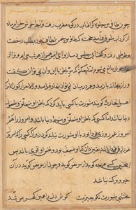 Page from Tales of a Parrot Tuti-nama: text page by Unbekannt