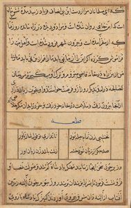 Page from Tales of a Parrot Tuti-nama: Text Page, c. 1560 by Unbekannt