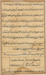 Page from Tales of a Parrot Tuti-nama: Text Page by Unbekannt