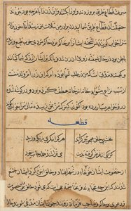 Page from Tales of a Parrot (Tuti-nama): text page, c. 1560 by Unbekannt