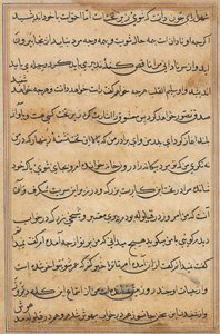 Page from Tales of a Parrot Tuti-nama: text page by Unbekannt