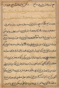 Page from Tales of a Parrot Tuti-nama: text page by Unbekannt