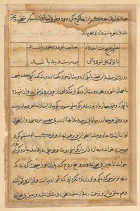 Page from Tales of a Parrot Tuti-nama: Text Page by Unbekannt
