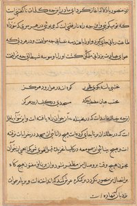Page from Tales of a Parrot Tuti-nama: text page by Unbekannt