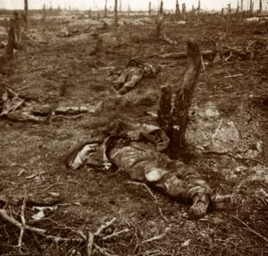 Path between bodies, c1914-c1918 by Unbekannt