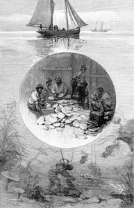 Pearl Fishery, Torres Strait, Australia by Unbekannt