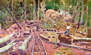 Penetrating the Amazonian Forest - Madeira-Mamoré Railway