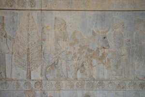 Persepolis, Iran by Unbekannt