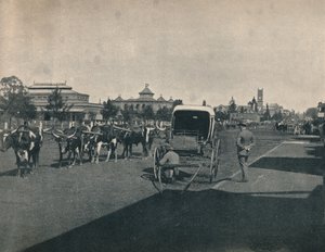 Pietermaritzburg by Unbekannt