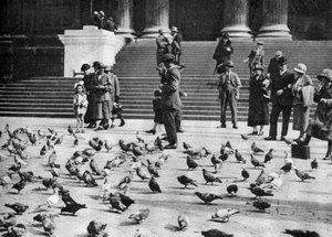 Pigeons in Trafalgar Square, London, 1926-1927