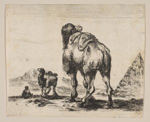Camel Viewed from Behind with Pyramid at Right, from Various Animals by Unbekannt