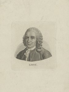 Portrait of Carl Linnaeus 1707-1778, c. 1780 by Unbekannt