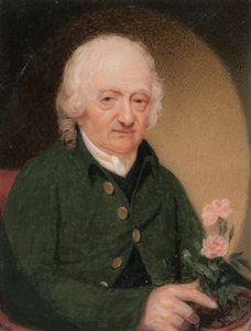 Portrait of a Gentleman