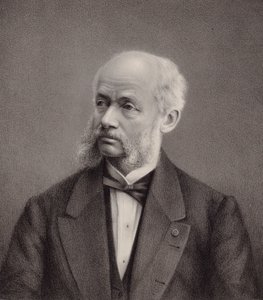 Portrait of the Violinist and Composer Henri Vieuxtemps