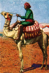 Post Delivered by Camel, Arabia by Unbekannt