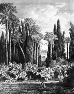 Princely Garden in Cairo, Egypt, 1880