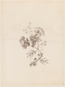 Print