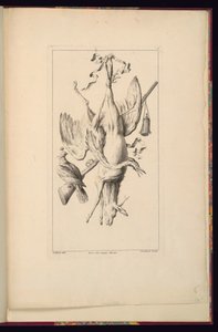 Print by Unbekannt