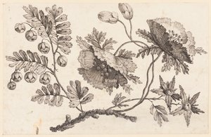 Print by Unbekannt