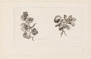 Print by Unbekannt