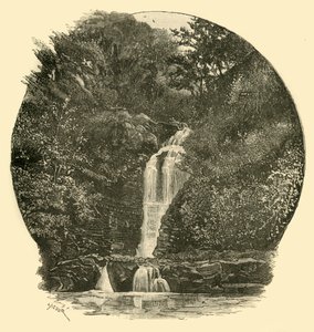 Pyrddin Falls, Vale of Neath, 1898