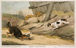 Rat Hunting, 1823
