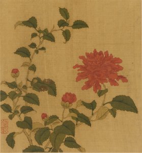 Red Peony by Unbekannt
