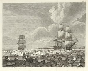 Journey to the North Pole