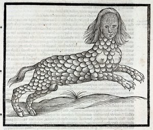 Representation of the Creature Lamia (Sybaris) - Engraving from History of Four-Footed Beasts by Edward Topsell 1607