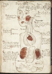 Representation of an Aristotelian Theory of Consciousness From: De corpore et anima by Unbekannt