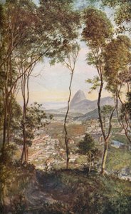 Rio de Janeiro by Unbekannt