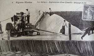 Saltworks, Camargue, Aigues-Mortes, Provence, France by Unbekannt