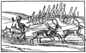 Samoyed Travelling on a Sleigh Pulled by Reindeer by Unbekannt
