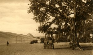 Saqqara - The Step Pyramid Seen from the Sycomore by Unbekannt