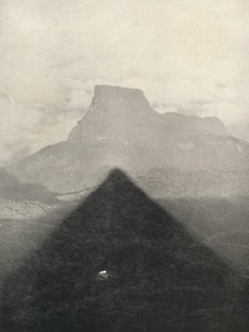 Shadow of Adam