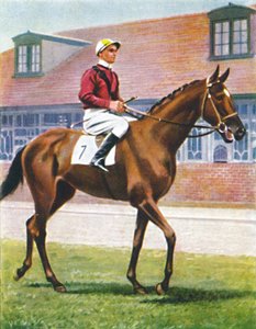 Senor, Jockey: J. Crouch, 1939 by Unbekannt