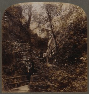 Shanklin Chine of World-wide fame, Isle of Wight, England