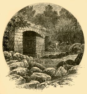 Shaugh Bridge